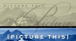 IPS Brochure