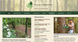 Texas Forestry Association